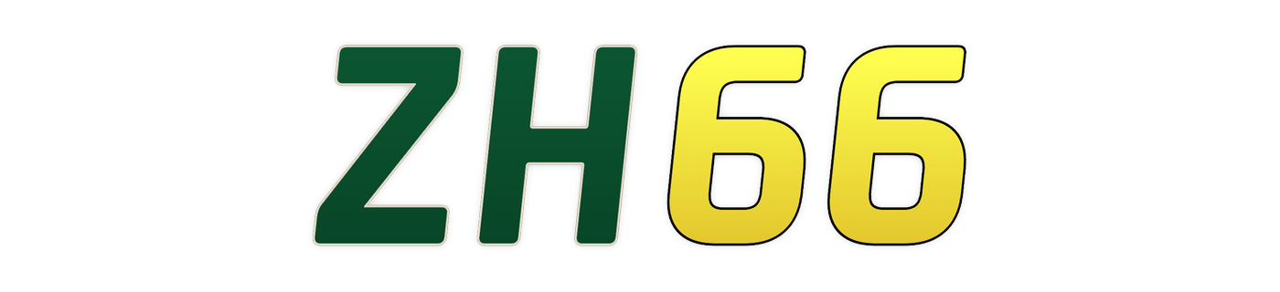 zh66